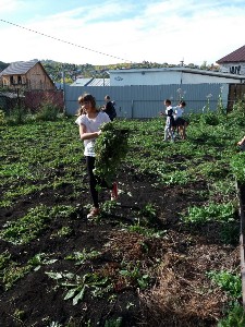 �����������