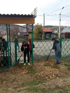 �����������